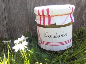 Rhabarber Fruchtaufstrich