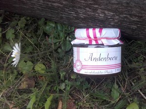 Andenbeeren Fruchtaufstrich
